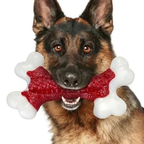 ChienBox juguete resistente para perros