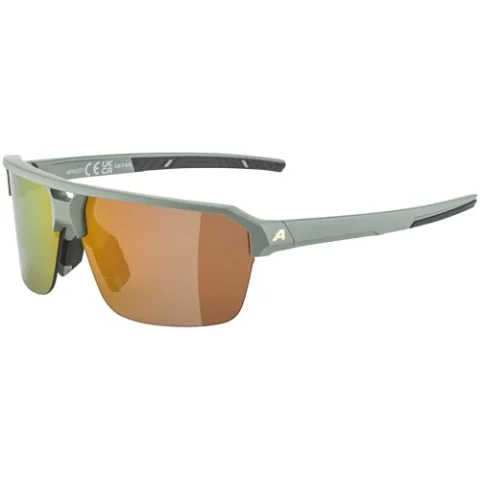 Gafas de sol deportivas ALPINA SWIFT HR