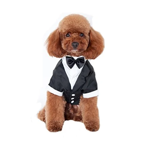 Keysui traje formal para perros