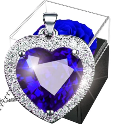 Rosa eterna con collar de plata 925