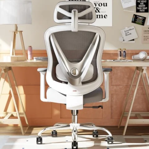 Silla de oficina HOLLUDLE ergonómica