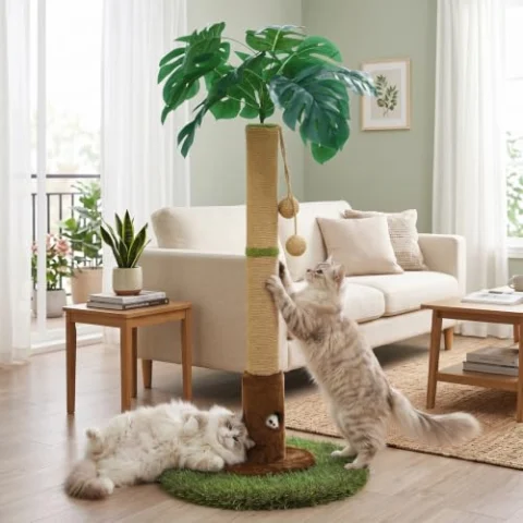 Woochpet Poste rascador para gatos y gatitos de interior