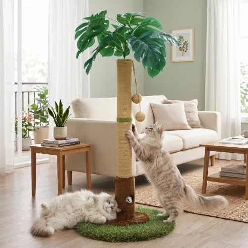 Woochpet Poste rascador para gatos y gatitos de interior por 17,32 €